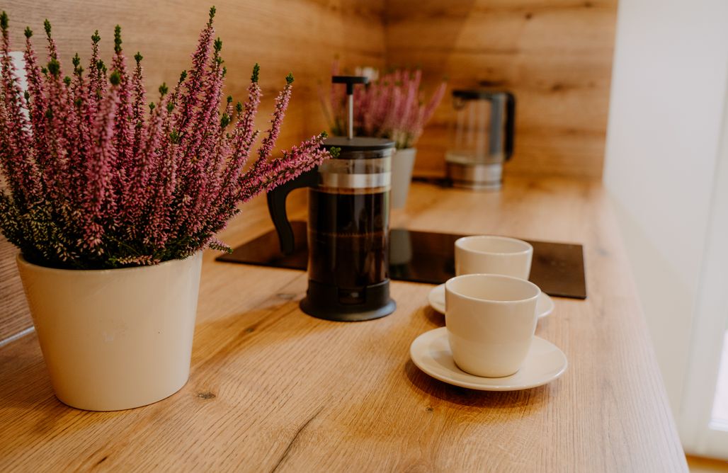 AlohaCamp Dom Premium, blisko jeziora, ogrodzony, palenisko, widok na lasek, SPA, kajaki 2