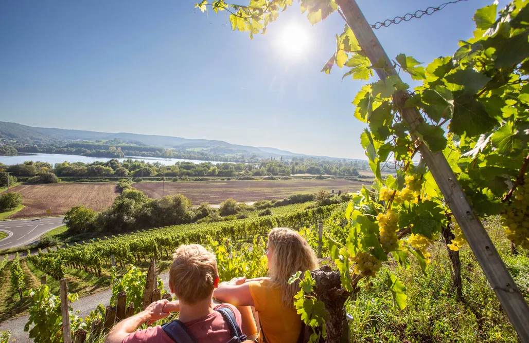 Tiny House Piemonte Tinylodge Sunshine 1