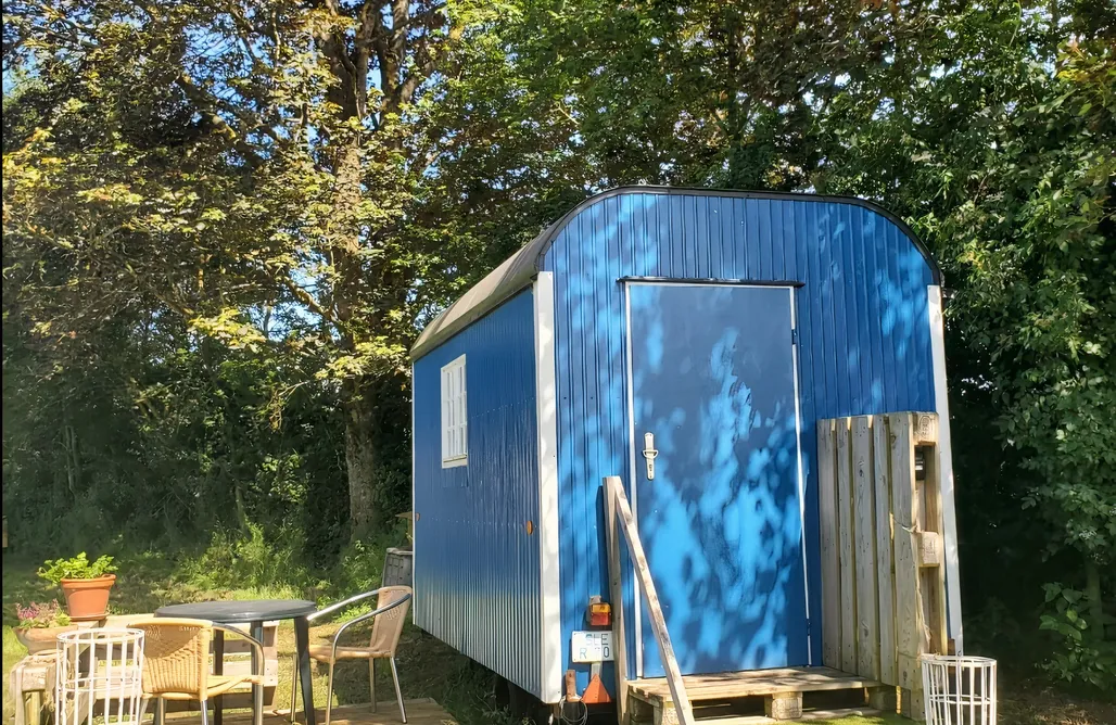 Unterkunft AlohaCamp Schäferwagen Tinyhouse in der Eifel 4