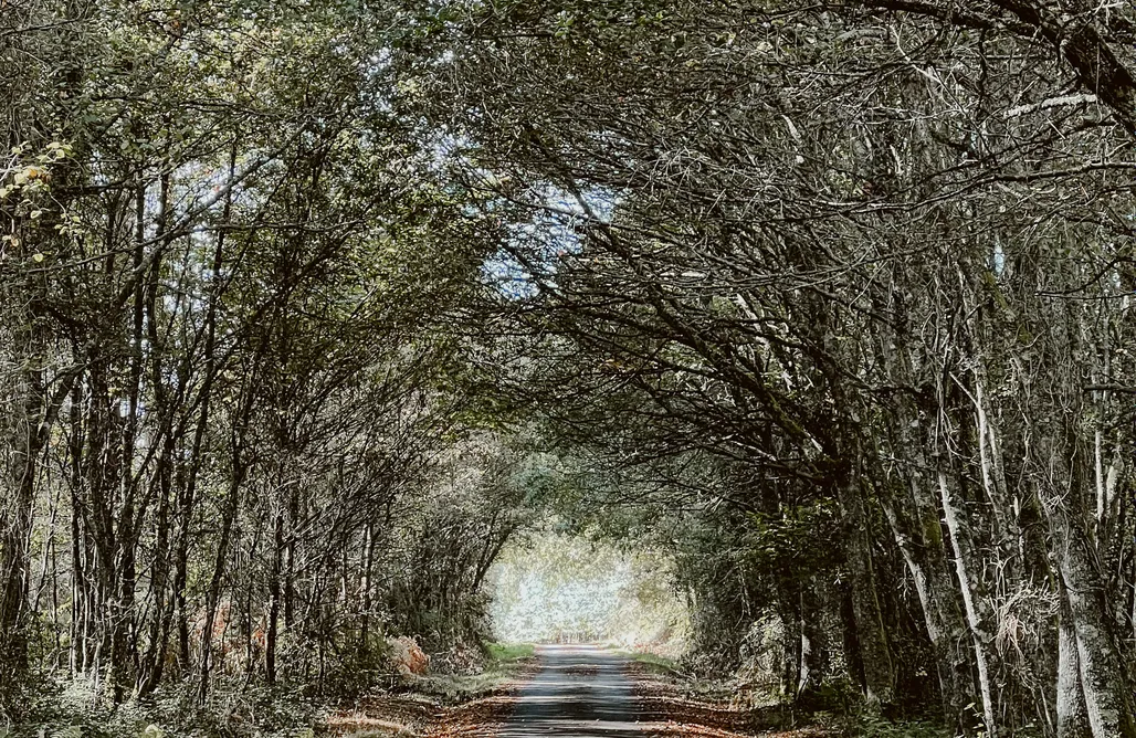 Alloggi AlohaCamp Casa do Cuco 1