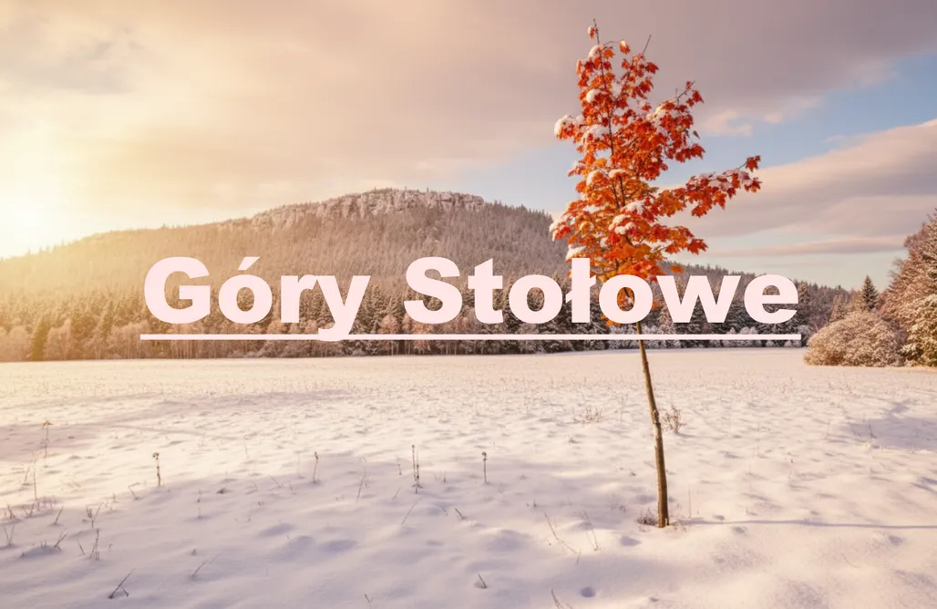 noclegi AlohaCamp Dream Home Polanica 1