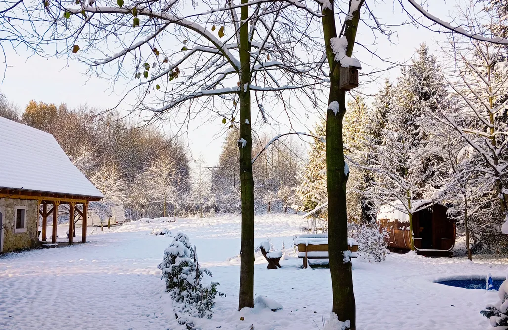 alojamientos AlohaCamp Chatka zimorodka 4