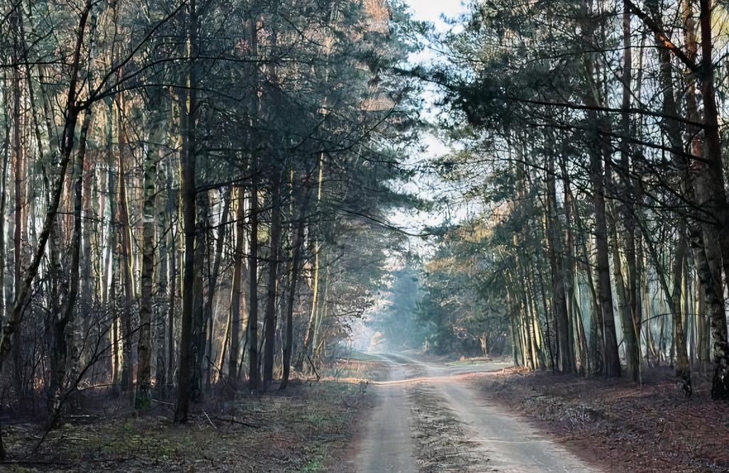 alojamientos AlohaCamp Apartamenty Brzegi Lasu z balią 1