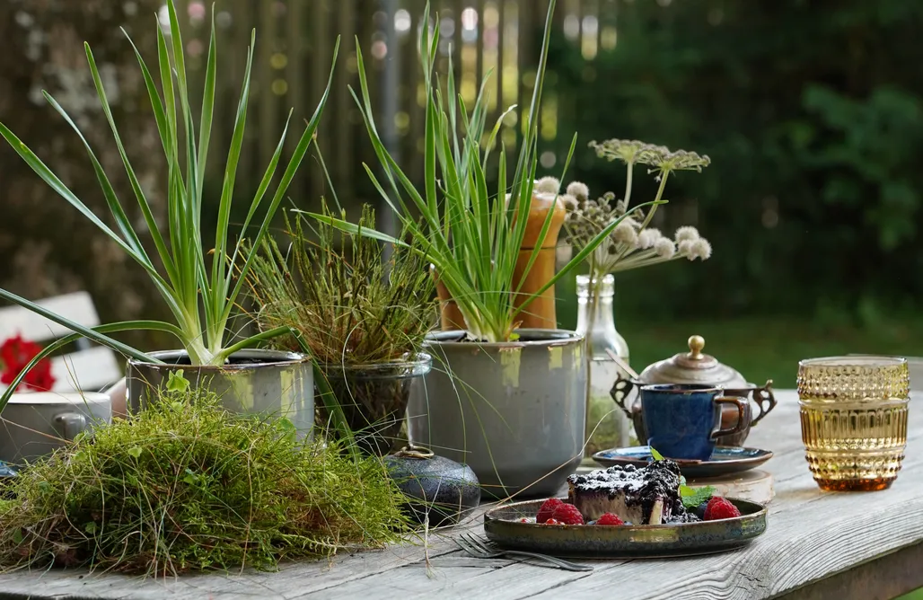 noclegi AlohaCamp Leśniczówka u Zięby 4