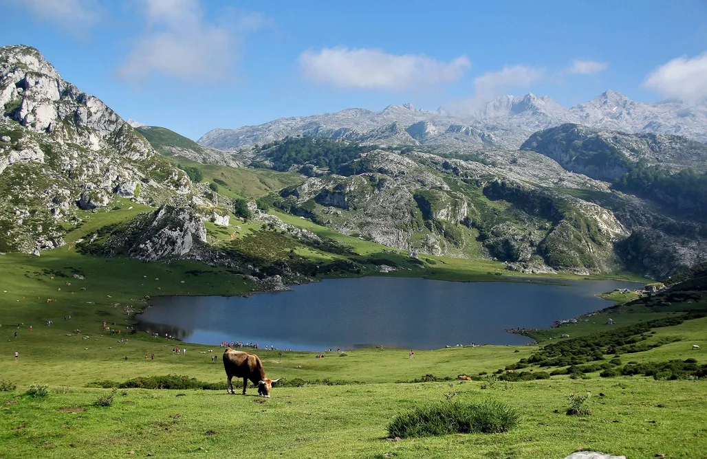 Alloggi AlohaCamp Montegrande, cabaña de montaña en un lugar idílico 1