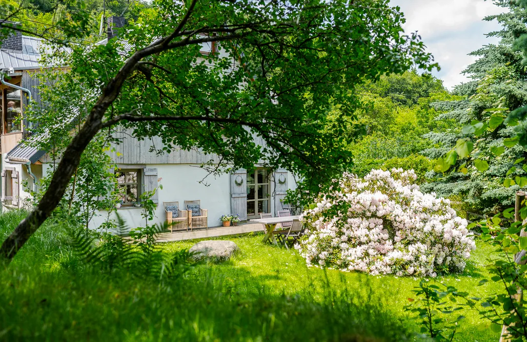 Agroturystyka Jelenia Góra Lavendowo 2