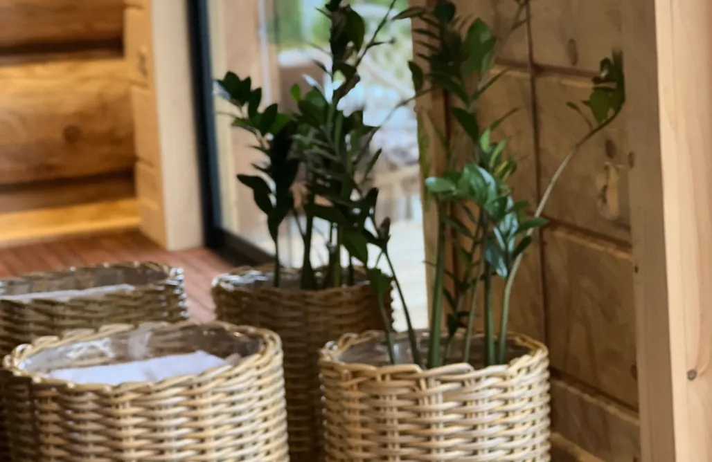 Alloggi AlohaCamp Domek Tatrzańska Zyngierka 1