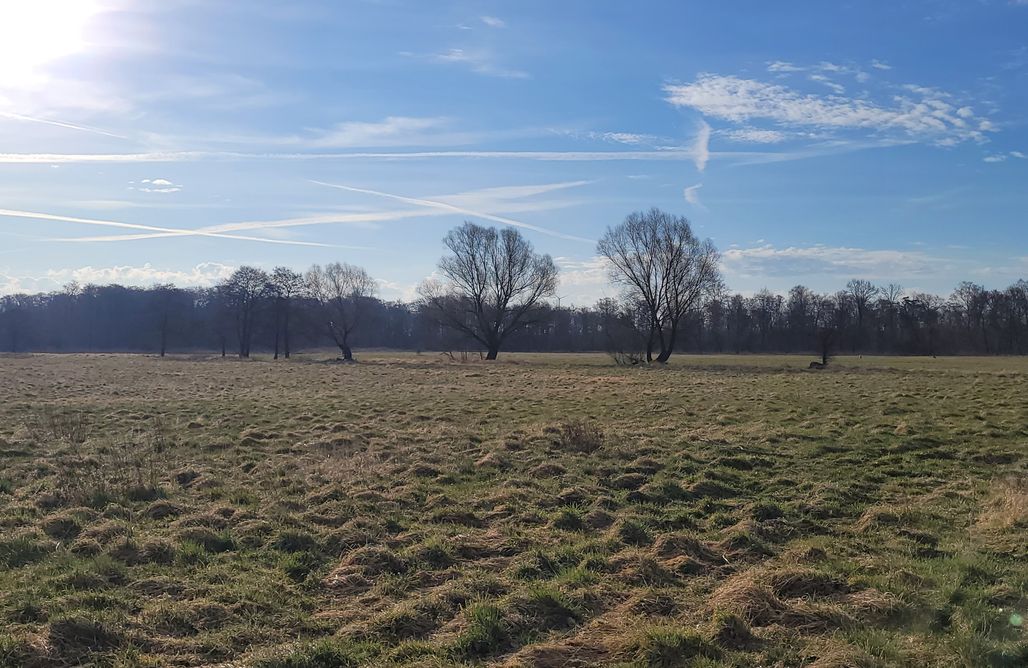 AlohaCamp Ostoja spokoju 4