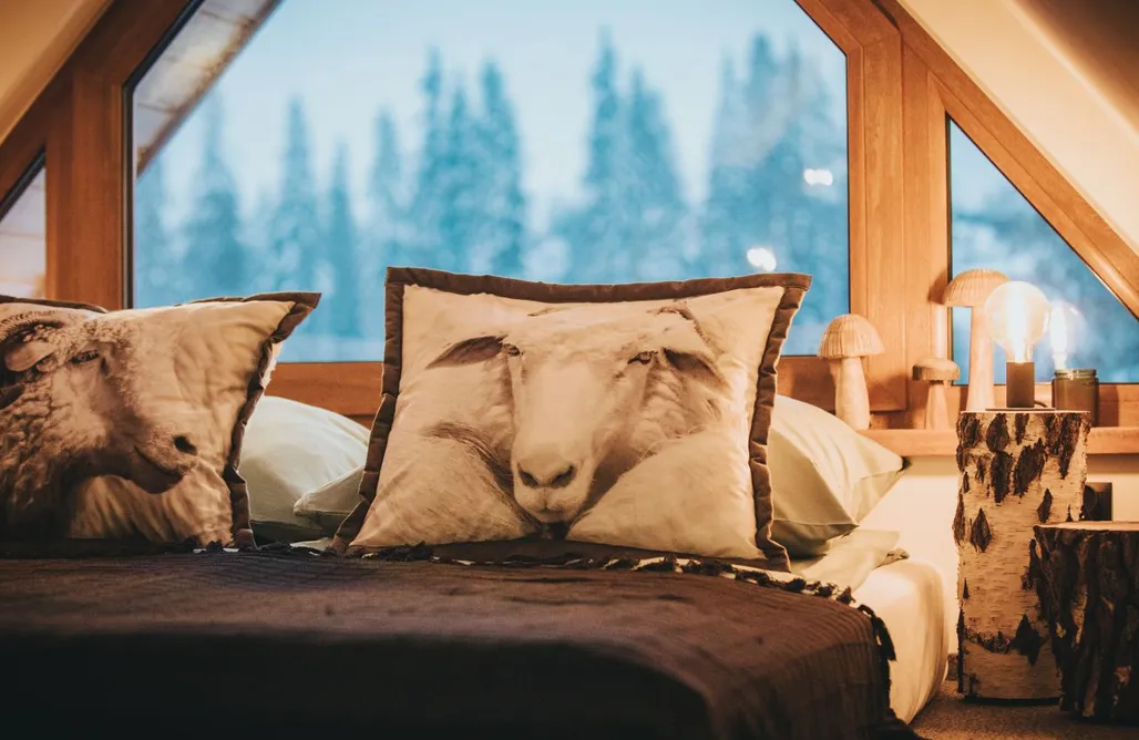 AlohaCamp Owca za płotem 2