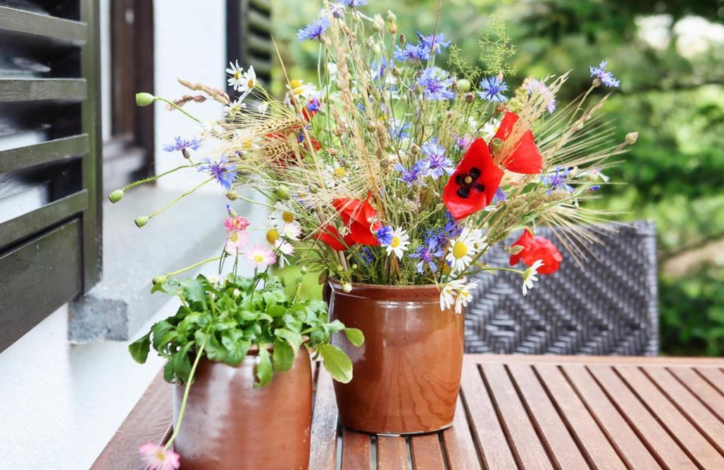 Unterkunft AlohaCamp Ferienhaus Drebach - Erlebnisurlaub im Erzgebirge  4