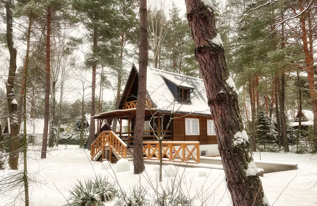 AlohaCamp Szumiąca Sosna 2