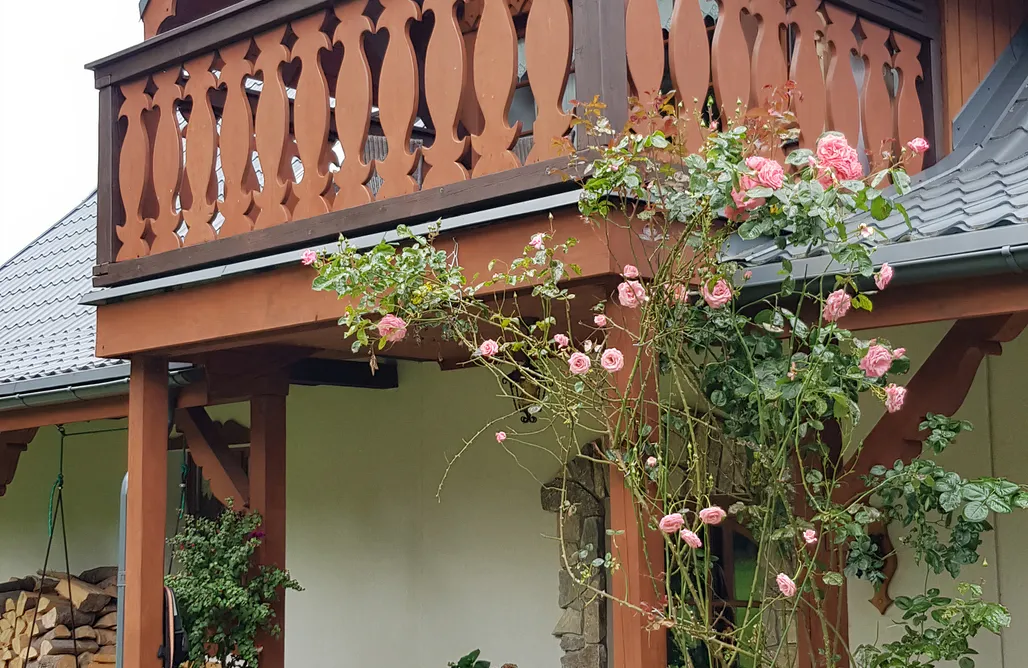 AlohaCamp Pokój z balkonem i łazienką nr 5  1