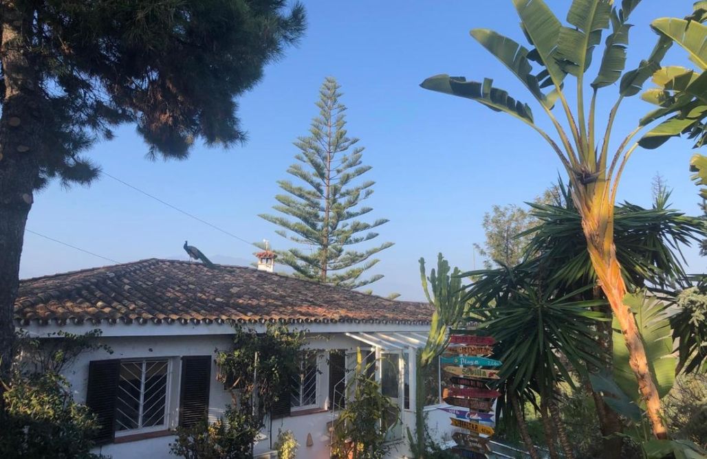 Hoteles en Sevilla con Jacuzzi Casa Simba: La Casita Dúplex 1