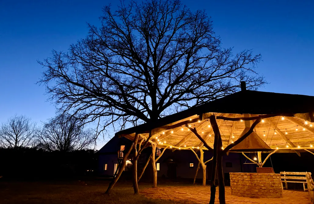 Wakacje nad jeziorem Wielkopolska  Horyzont Zdarzeń — Siedlisko Ciemnego Nieba 1