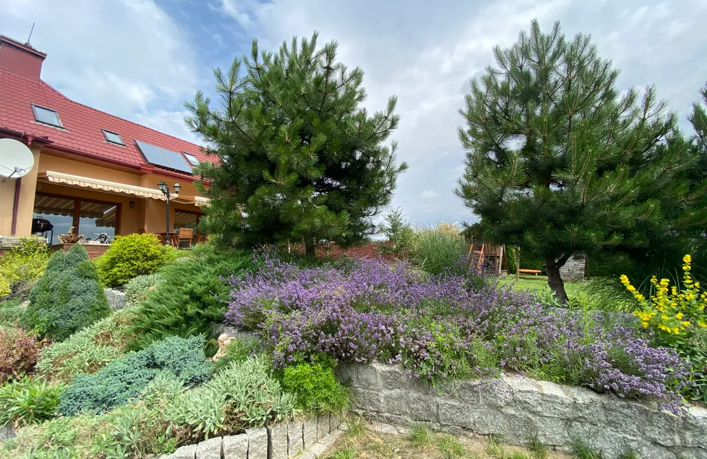 AlohaCamp Dom z widokiem na lubelszczyźnie 1