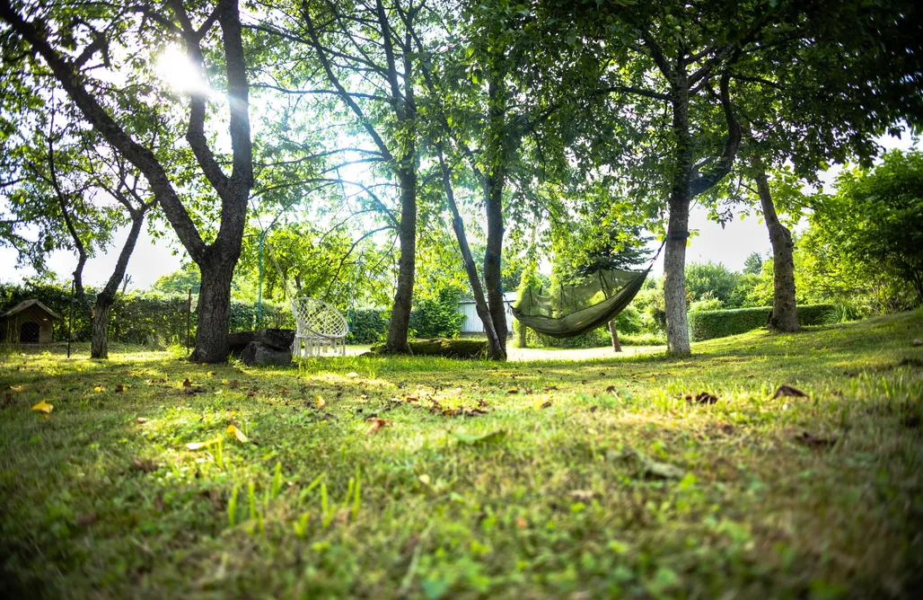 noclegi AlohaCamp Leśne Serce 4