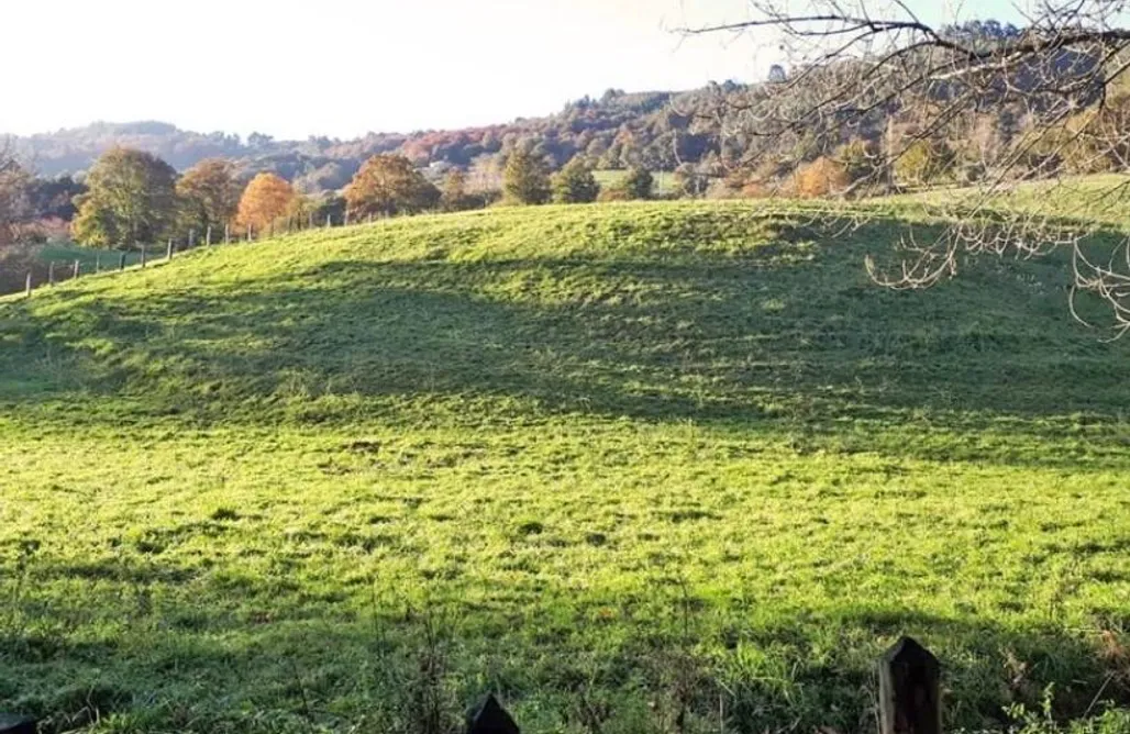 alojamientos AlohaCamp El Raposu del Sueve 1