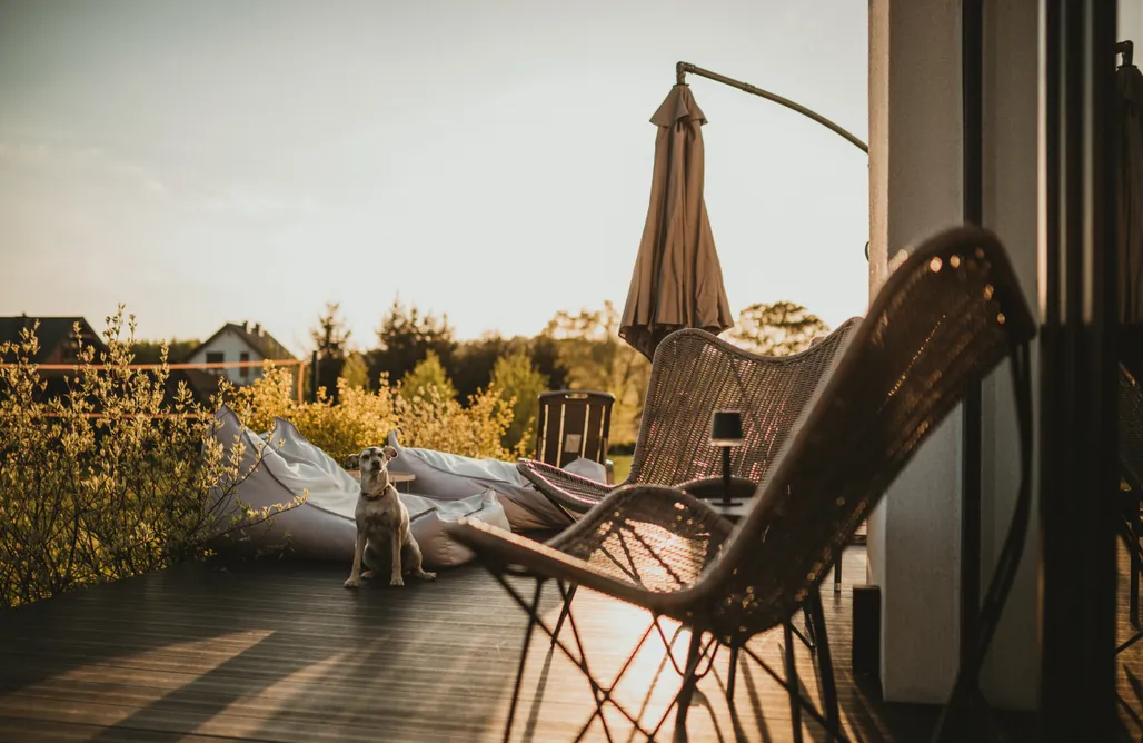 alojamientos AlohaCamp Między lasem, polem a jeziorem - domek na Mazurach 4