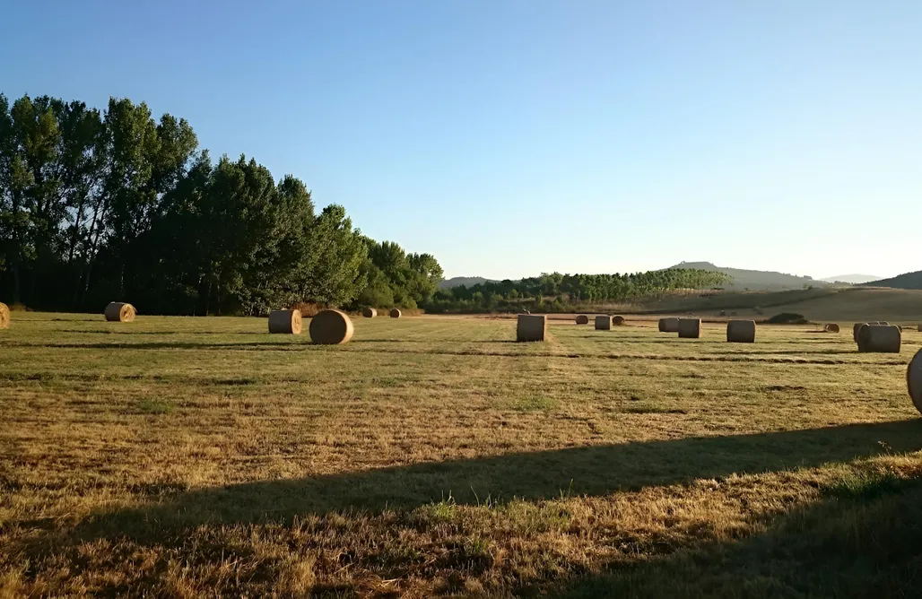 noclegi AlohaCamp Cabañas El Bosque de los Sueños 1