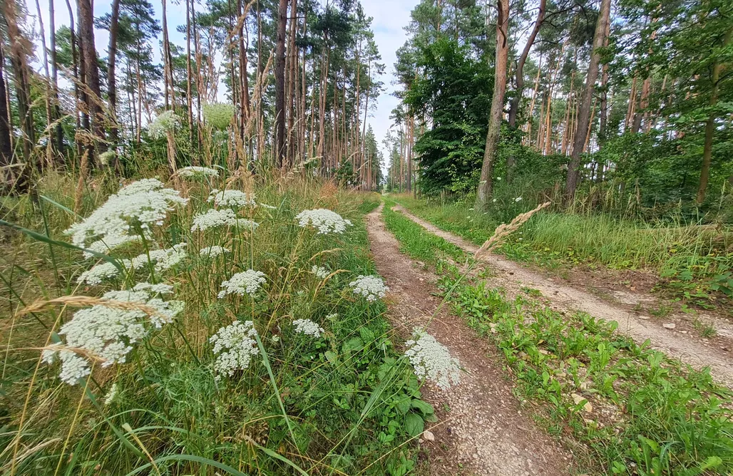 noclegi AlohaCamp Pod Czarnym Dzięciołem - dom z widokiem i prywatną balią 1