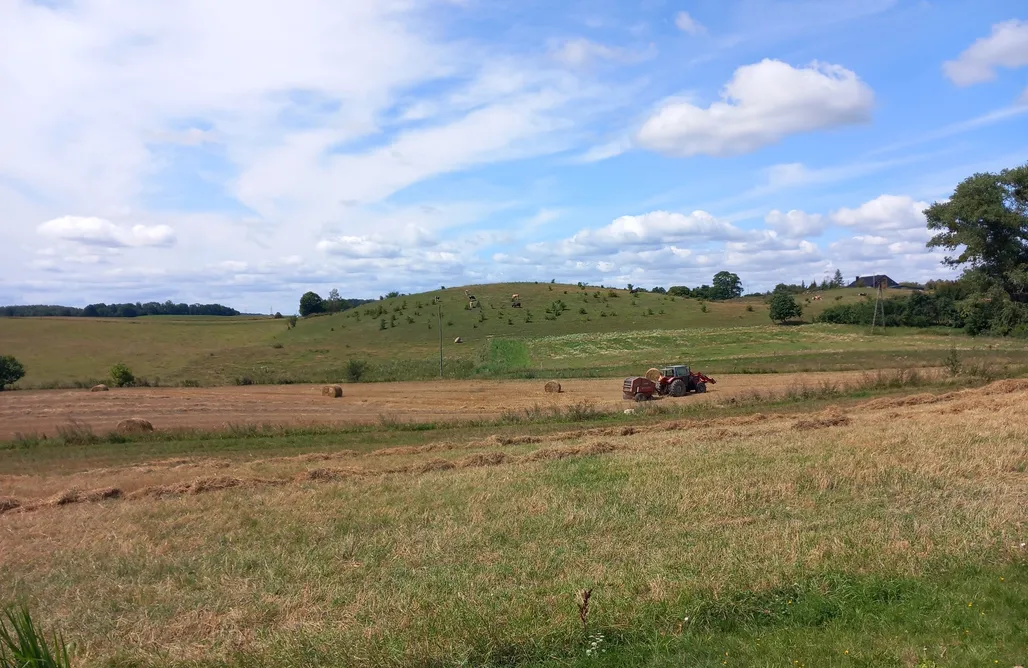 AlohaCamp Dom w zbożu 1