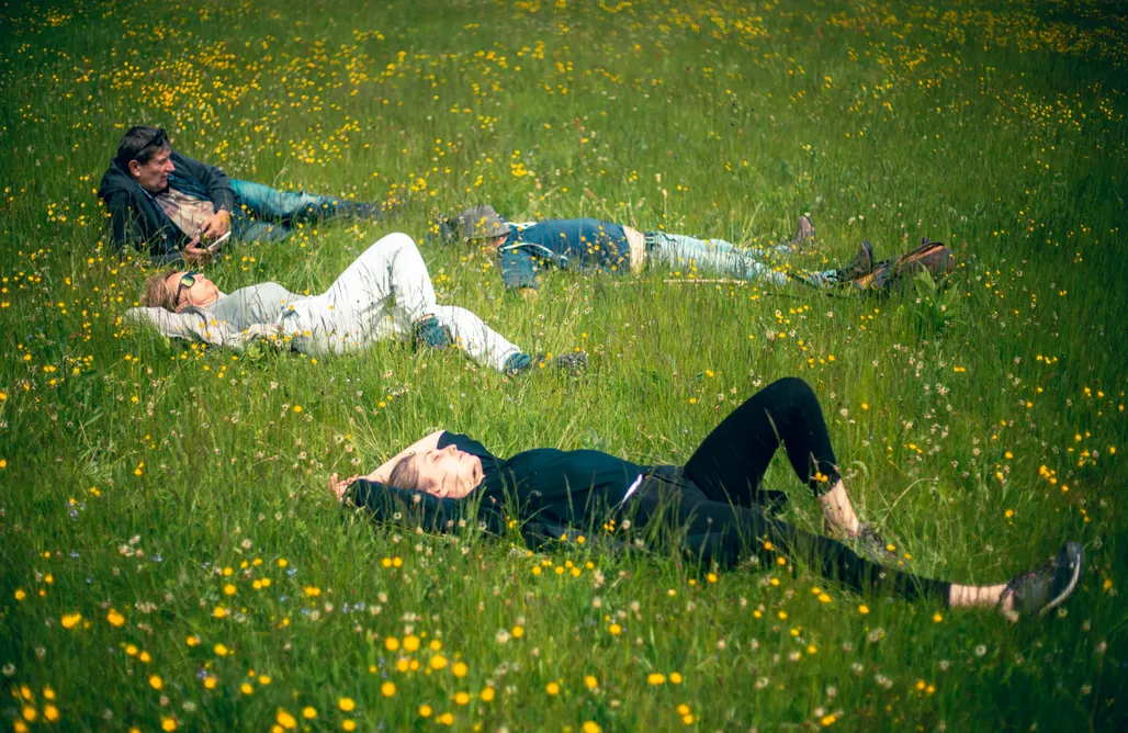 noclegi AlohaCamp Kura pod Złotym Kogutem 1