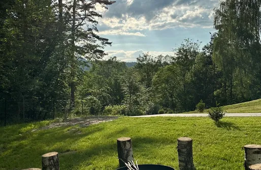 Zdjęcie obiektu Forest Inn Berest