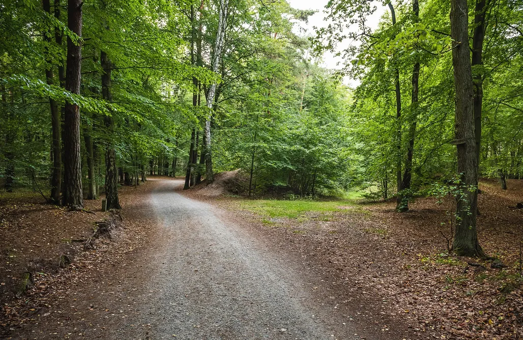 noclegi AlohaCamp Housea  1