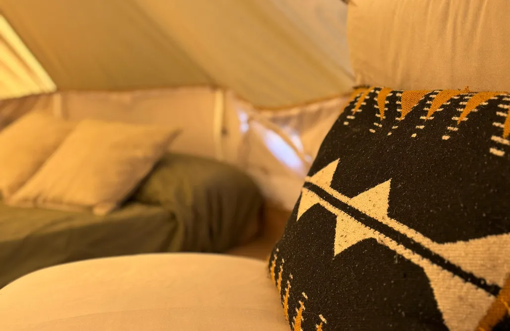 AlohaCamp Bosque Raices 2