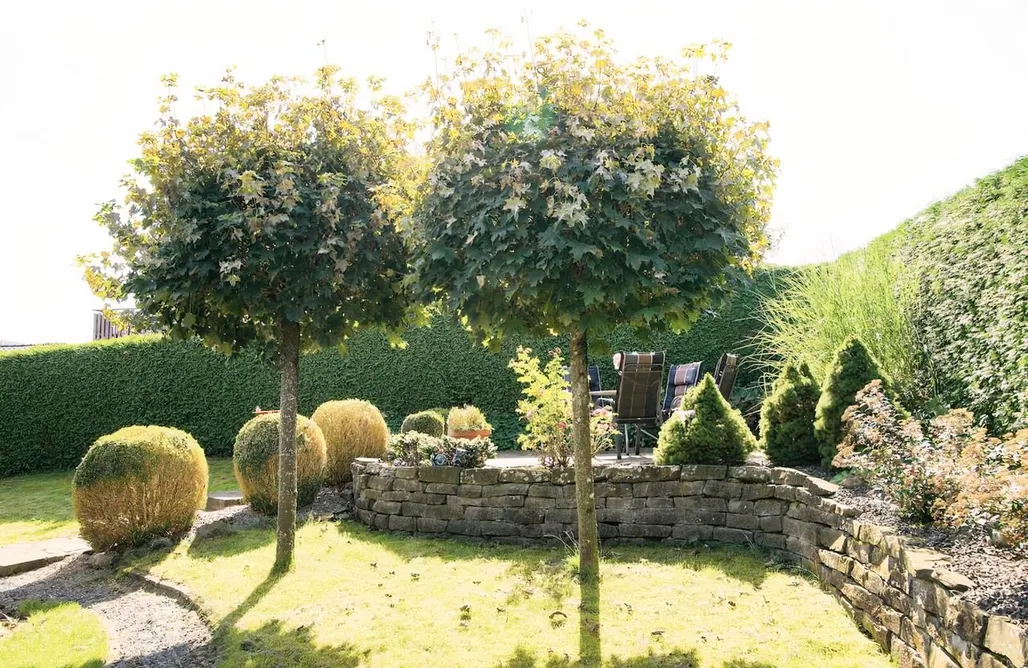 Unterkunft AlohaCamp Holzhaus Hubertus mit Sauna und Kamin 4