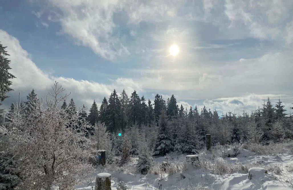 Unterkunft AlohaCamp Ferienhaus "Kleiner Feuerzauber" 5