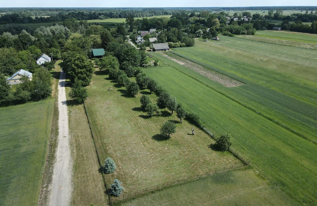 AlohaCamp Na miły Bug  1