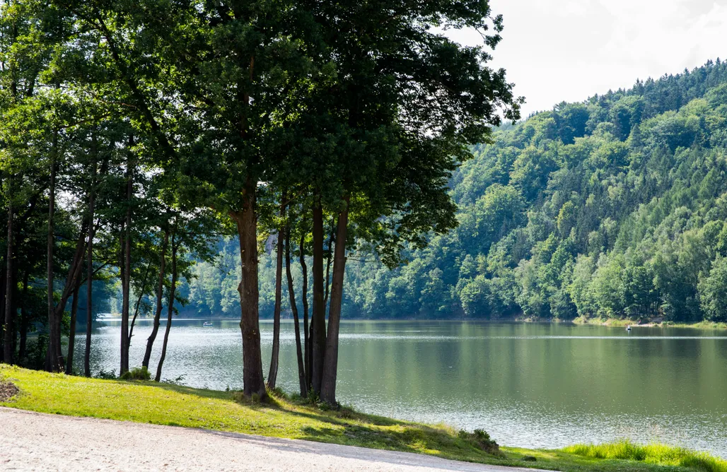 noclegi AlohaCamp Złoty Potok Resort 4