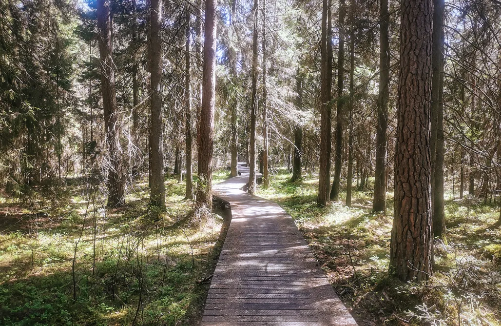 noclegi AlohaCamp Drewutnia nad Hańczą 1