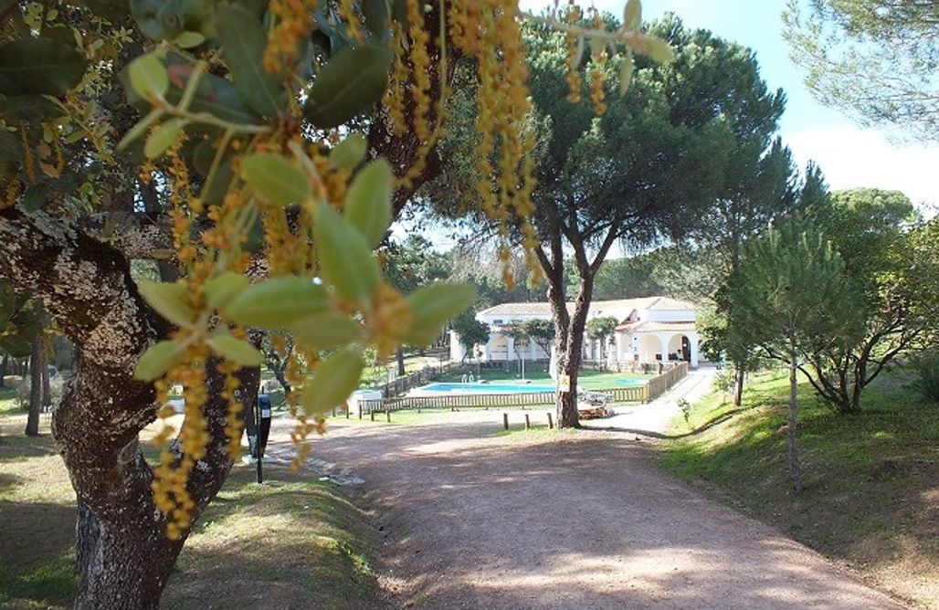 alojamientos AlohaCamp Sitio para caravanas y tiendas - Camping Los Villares Sierra de Córdoba 4