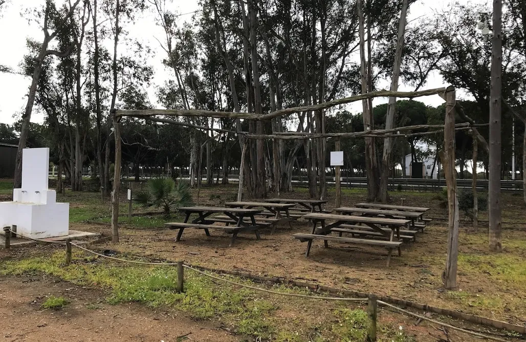 Pisos en Alquiler en Huelva Capital Baratos Particulares Cocoon Tree Bed - Playa Taray 1