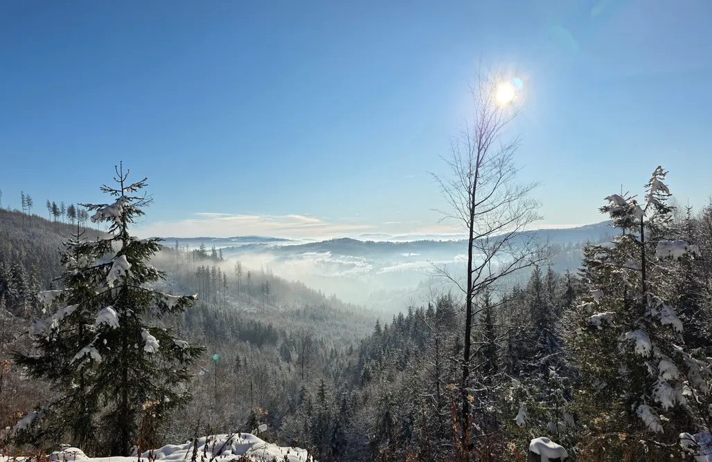 AlohaCamp Domek na wyłączność  1