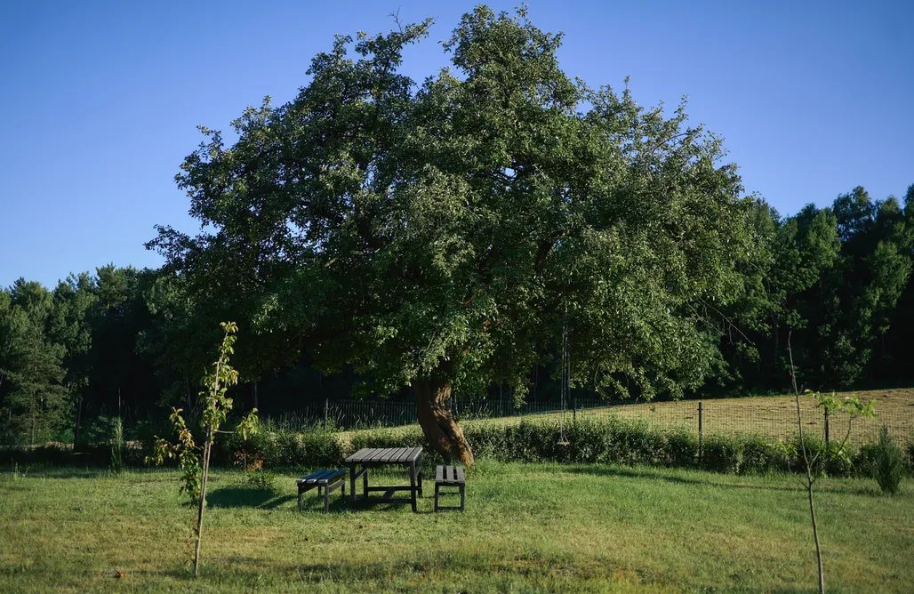 noclegi AlohaCamp Dom Wczasowy Błogo 5