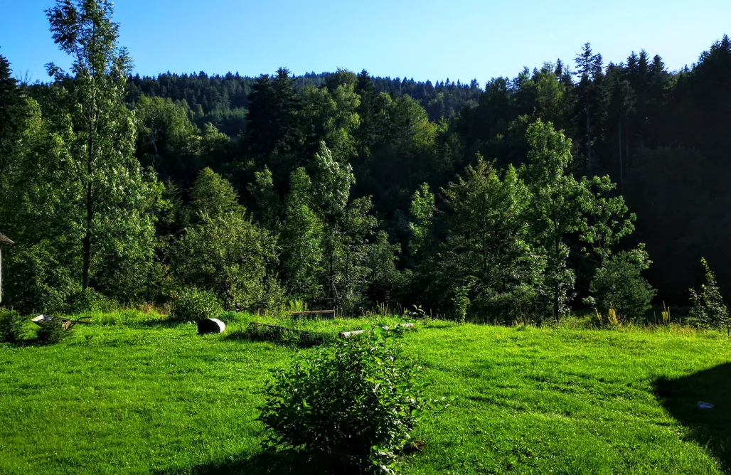Wysowa-Zdrój Noclegi Wieś odNowa 1