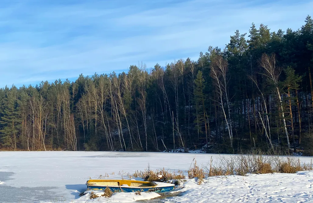 AlohaCamp accommodation Leśna Odskocznia  1