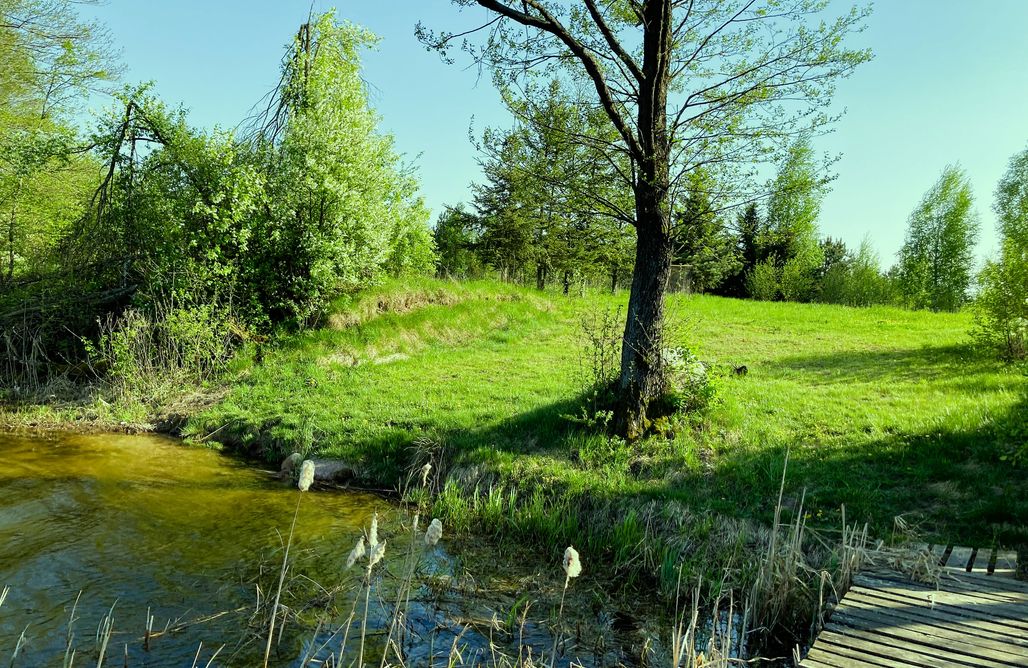 noclegi AlohaCamp Cisy Resort I - ogrodzony teren na wyłączność 1