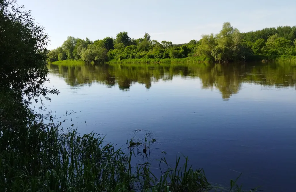 Miejsce kamperowe - Agroturystyka Sołtysówka AlohaCamp