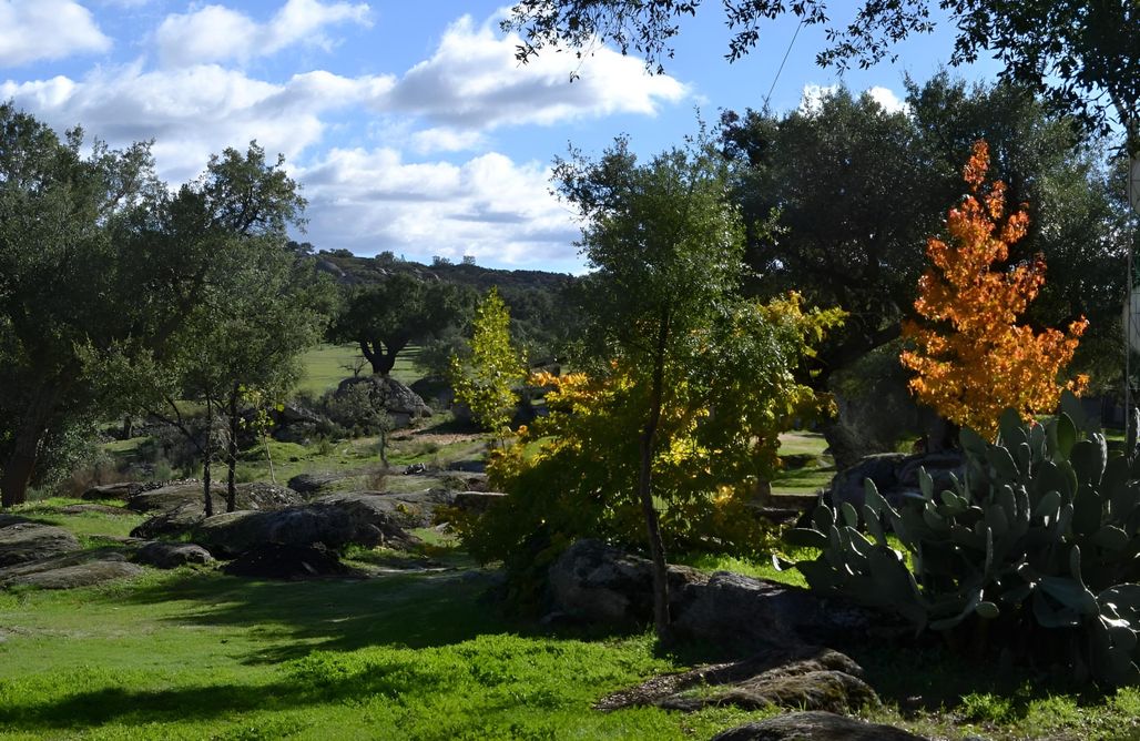 Unterkunft AlohaCamp La Ermita  3