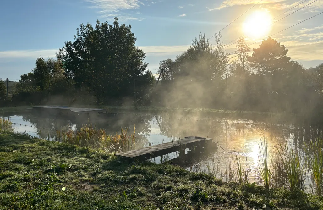noclegi AlohaCamp Domek z tarasem wśród natury 3