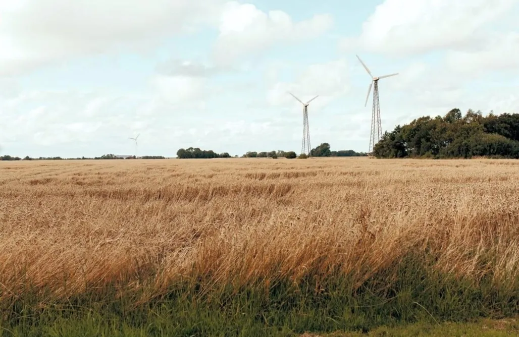 Unterkunft AlohaCamp Drei Tage am Meer - An der Nordseite 1 (Wohnung 2) 4