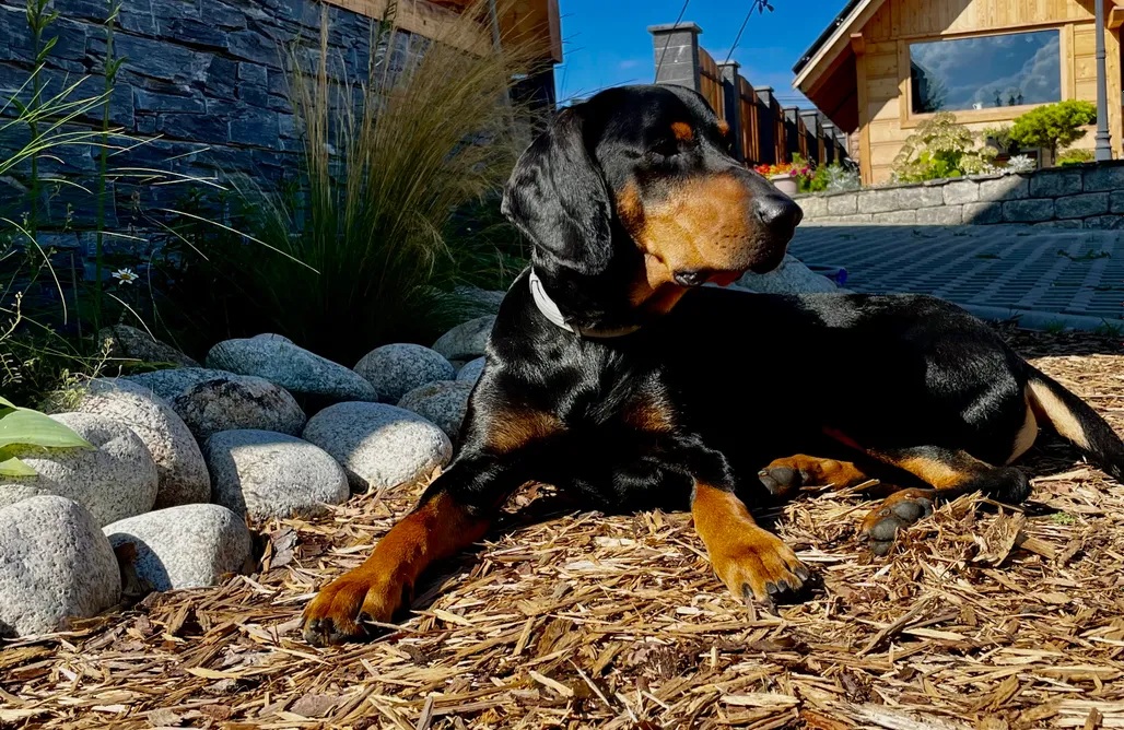 ubytovanie AlohaCamp Domki Na Wypasie - Białka Tatrzańska 1