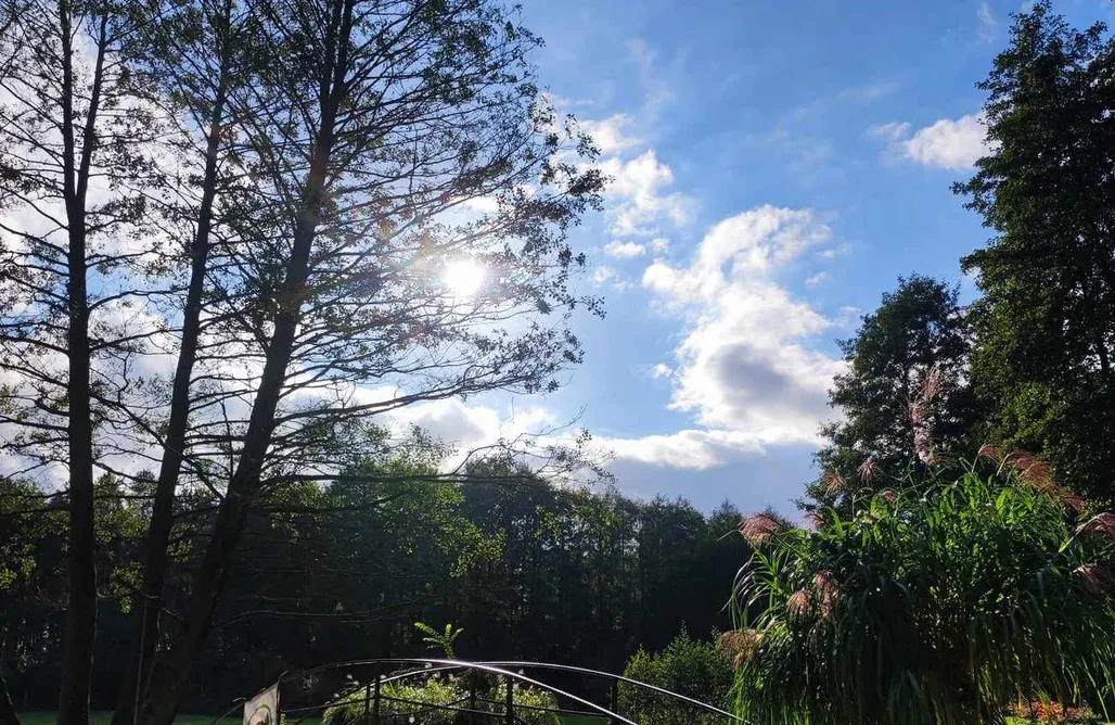 Rogowo Noclegi Jurta Słonecznego Azylu - Forglamp 1