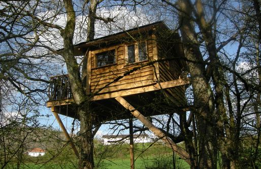 Imagen de Suites en los árboles