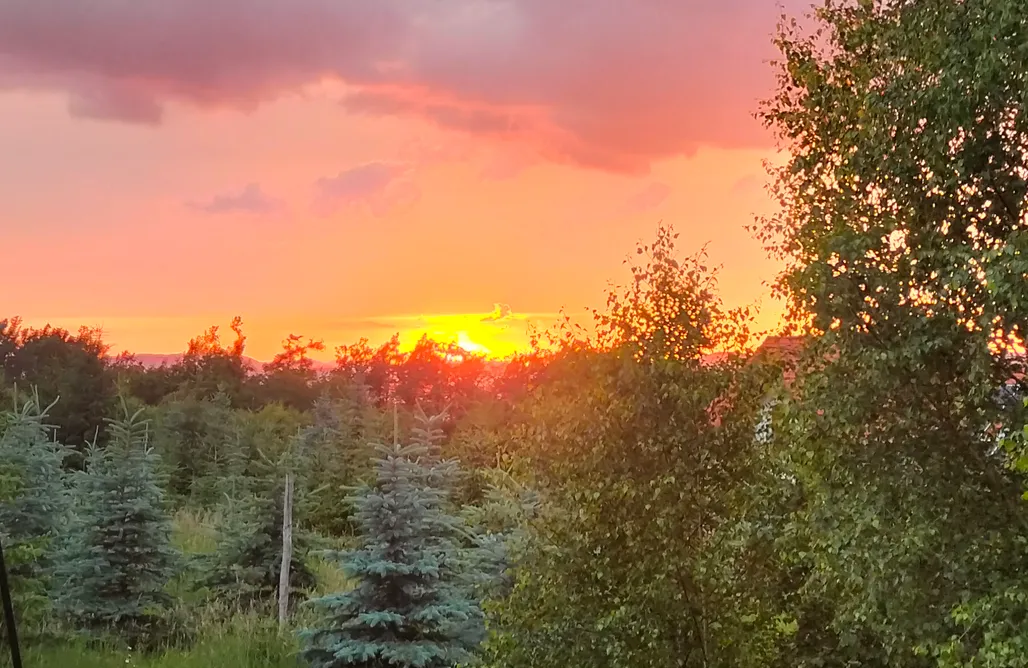 Alloggi AlohaCamp Widokowy Zakątek 1