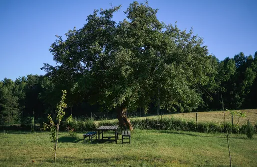 Zdjęcie obiektu Dom Wczasowy Błogo